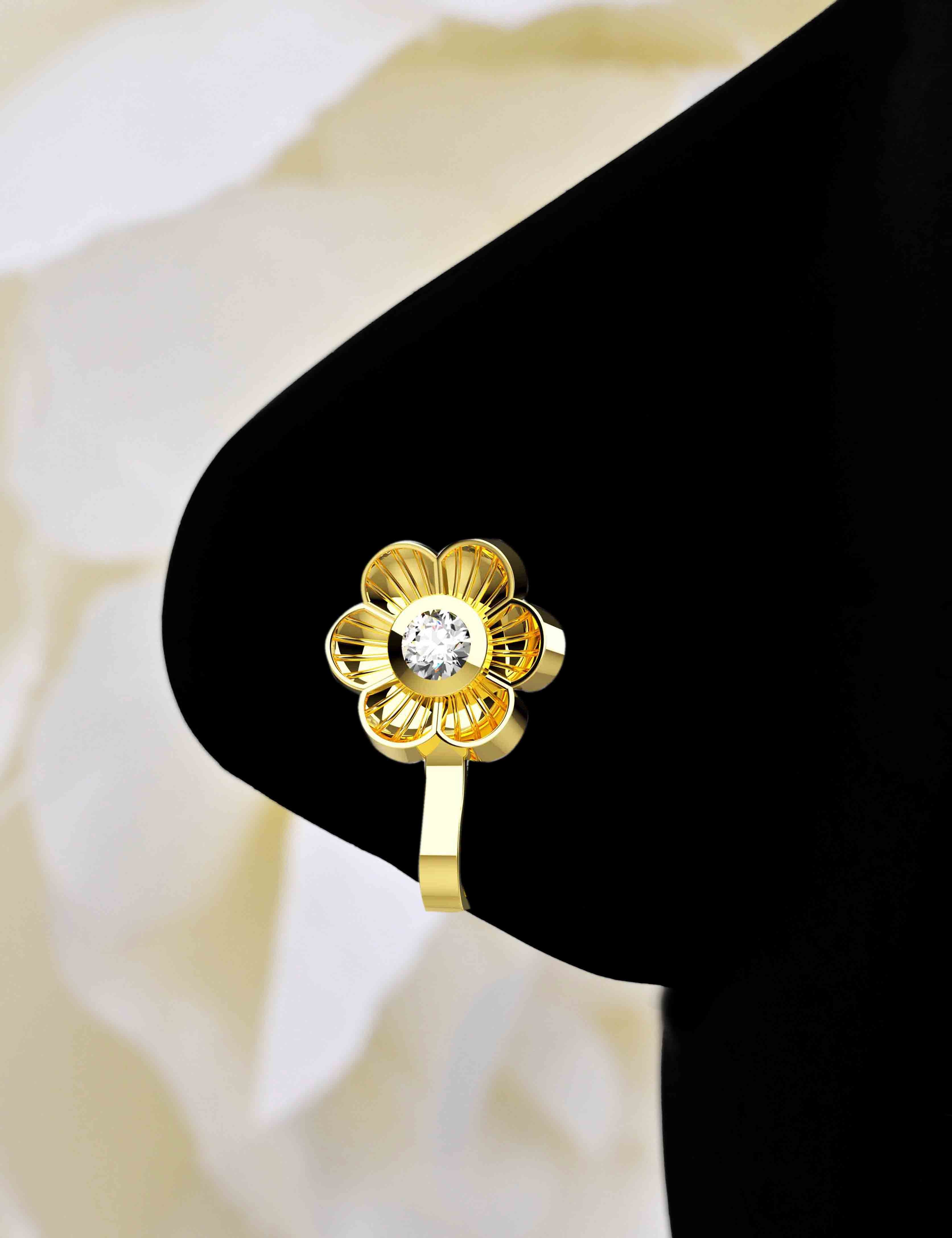 Clip-On Non Pierced Nose Ring